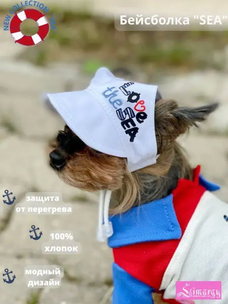 Limargy Кепка бейсболка для собак мелких пород