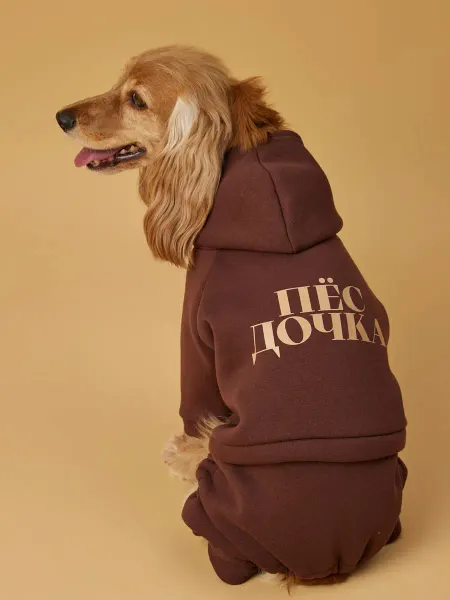 LionPets Спортивный костюм для собак теплый Пес дочка