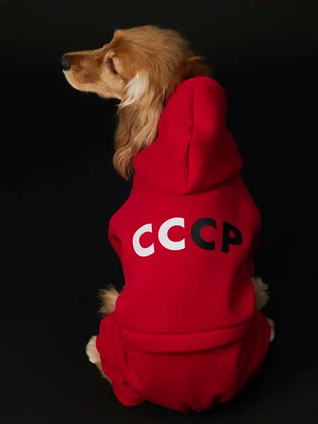 LionPets Спортивный костюм для собак теплый СССР