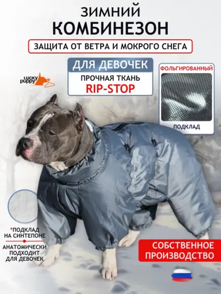 Lucky Puppy Зимний комбинезон для собак средних пород