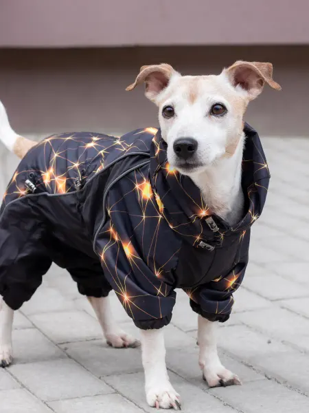LuckyDogMsk Комбинезон для собак "Созвездие"