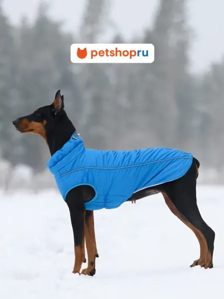 OSSO-fashion Жилет зимний для собак Аляска, голубой