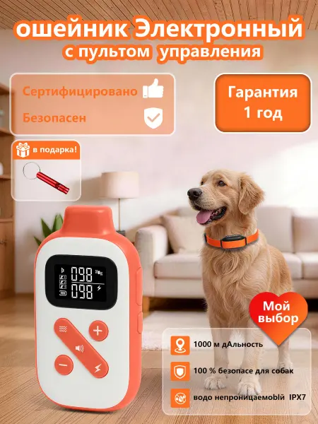 Paipaitek электронный ошейник для дрессировки собак-PD523