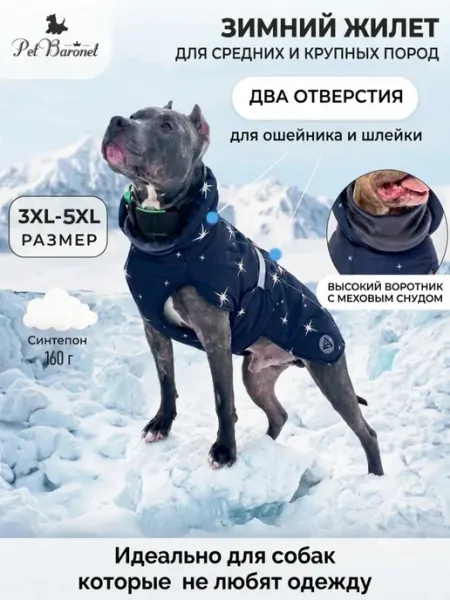 PetBaronet Жилет попона для собак крупных средних пород со снудом