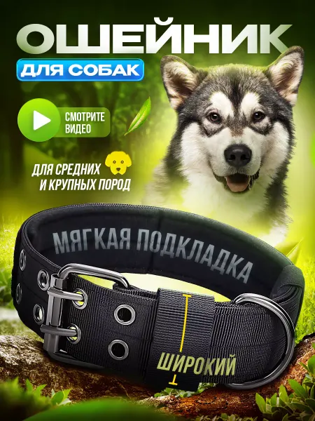 PETFORT Ошейник для собак крупных и средних пород