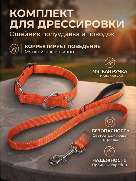 PetOpt Комплект ошейник полуудавка XS и поводок S для собак мелких…