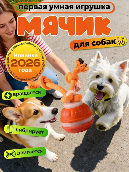 PetTails Интерактивная игрушка шар для кошек и собак мелких пород