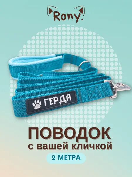 .RONY. Именной поводок с вышивкой