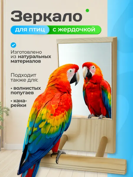 SK62 Зеркало для птиц с жердочкой
