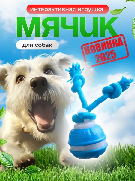 SKISOPGO Игрушка для собак и кошек Интерактивный умный мяч