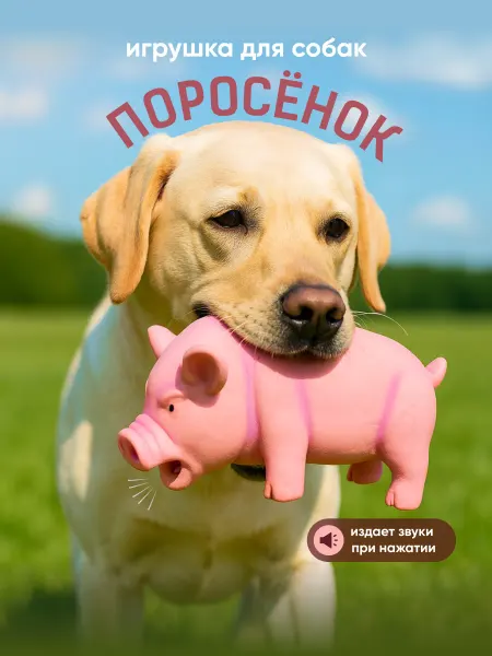 SSY Пищалка игрушка для собак резиновая свинья хрюкающая