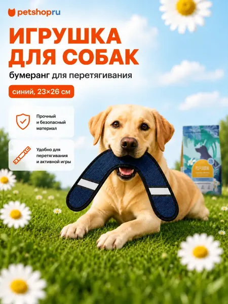 Tappi Бумеранг для собак, синий со светоотражающей полоской
