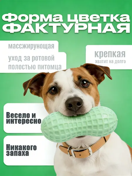 Игрушка для кошек арахис с звуком, TPR,зеленый