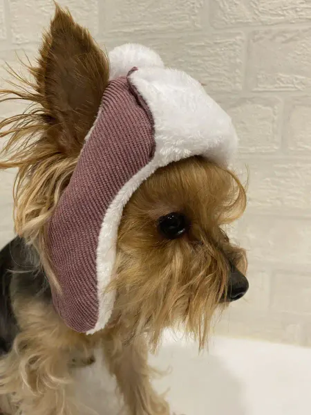 TrandyPets шапка для собак мелких пород