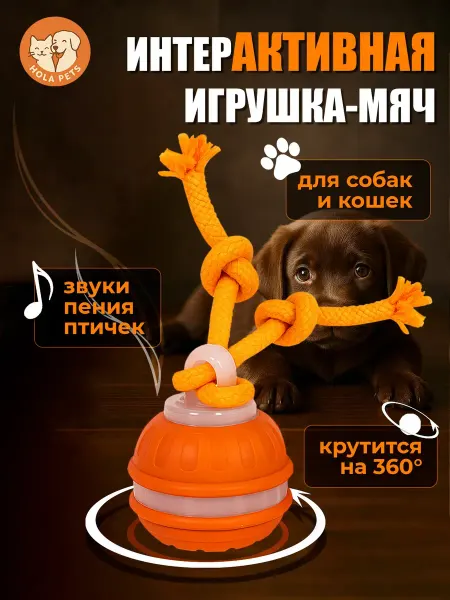 ValescoHome Игрушка шар для собак и кошек интерактивный мяч