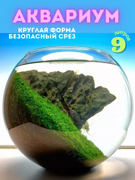 ZooAqua Аквариум круглый для рыбок, креветок, петушка, стекло, 9 л