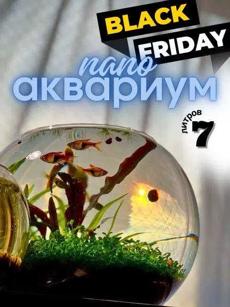 ZooAqua Аквариум круглый для рыбок, петушка, стекло, 7 л