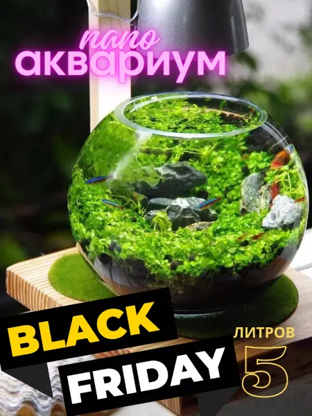 СТЕКЛОЗАВОД НЕМАН Аквариум 5 л круглый для рыбок, петушка, стеклянный