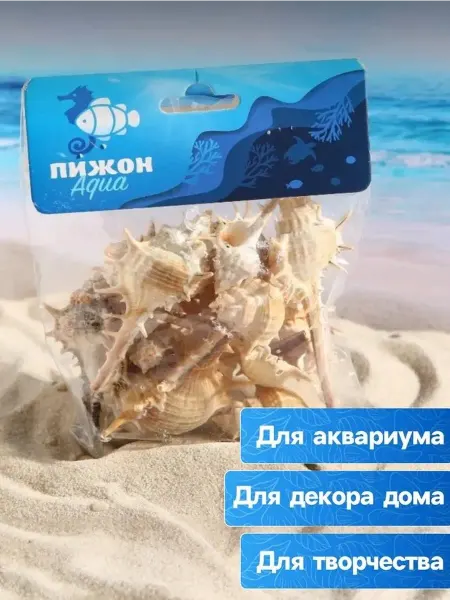 Естественный декор для аквариума из ракушек