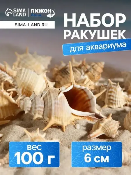 Эксклюзивный набор натуральных ракушек для аквариума