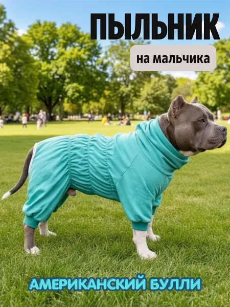 RD Комбинезон-пыльник для собак амбулли англ.бульдог бирюза муж