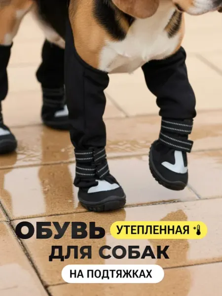 Безграниц обувь для собак на подтяжках зимняя