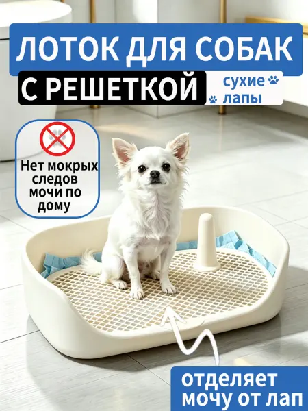 Туалет для собак с бортиками для чихуахуа