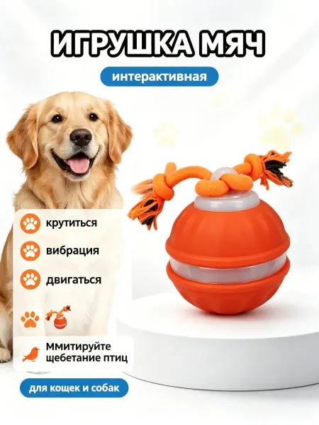 Игрушка для кошек с звуком – привлекающая внимание