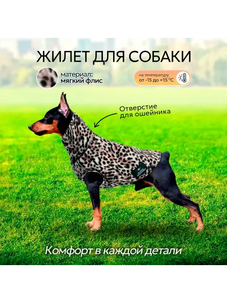 Усатая девчонка Жилетка для собак мелких и средних пород на осень с флисом