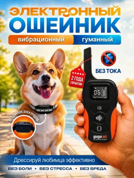 Электронный ошейник для дрессировки собак