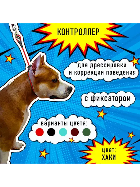 Ошейник-удавка с фиксатором для дрессировки собак