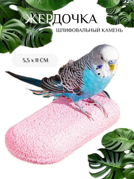 Страна КотАния Жердочка шлифовальный камень для попугаев