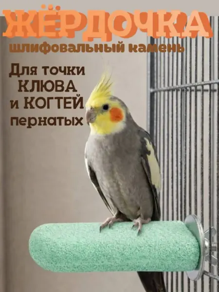 Жёрдочка для стачивания клюва и когтей попугаев