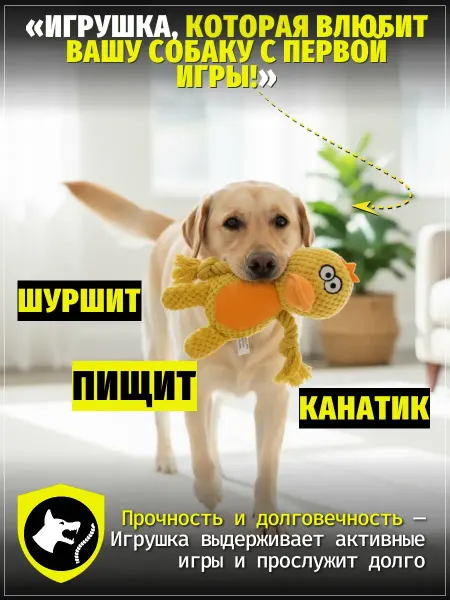 ЗООГЕНИЙ Мягкая игрушка цыпленок для собак с пищалкой и канатами