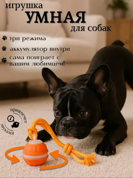Интерактивная игрушка для собак Игрушки для собак, мяч