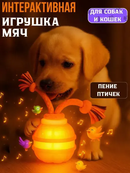 Лапорум Игрушки для собак и кошек Интерактивный мячик