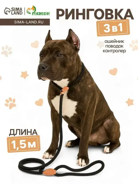 Прочный поводок-удавка из кожи и полиэстера