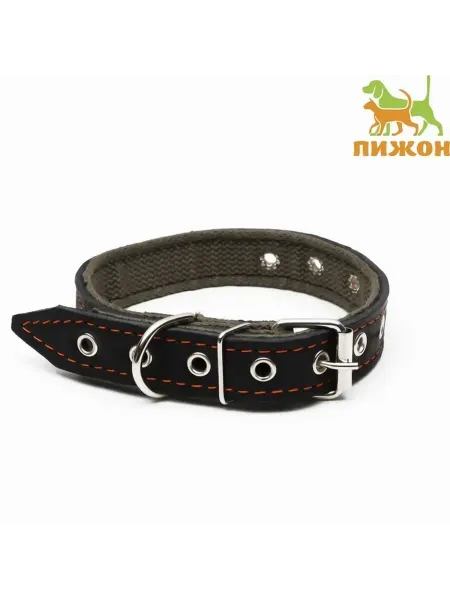 Многофункциональный комбинированный ошейник для собак