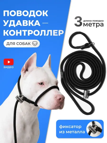 Поводок-удавка с металлическим фиксатором для контроля