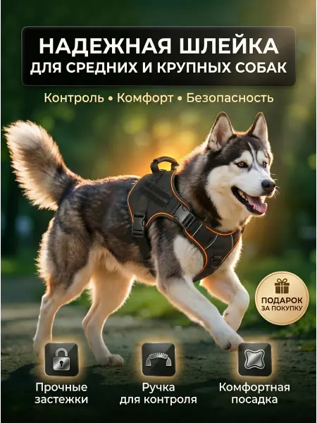 Шлейка для собак средних и крупных, XL