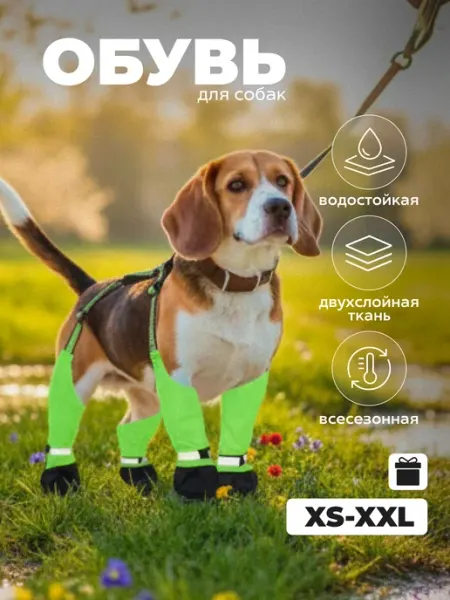 Лёп-Лёп Обувь для собак на подтяжках