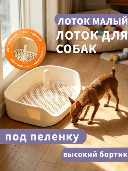 Лоток для пеленки для собакПрочный пластик40х30см
