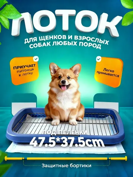 Практичный лоток с сеткой для собак