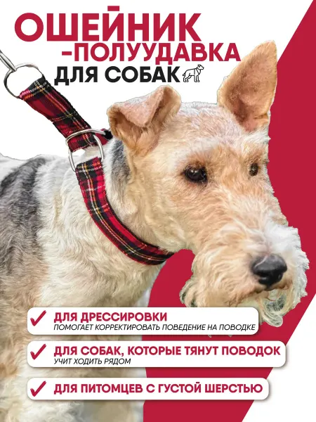 Ошейник полуудавка для мелких и средних собак