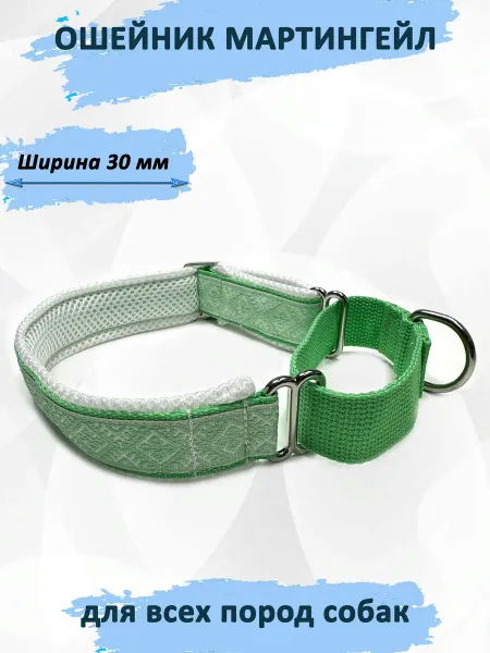 Ошейник-мартингейл из нейлона с металлической фурнитурой XL