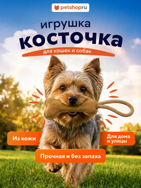 Bow-Wow Игрушка-косточка из кожзаменителя