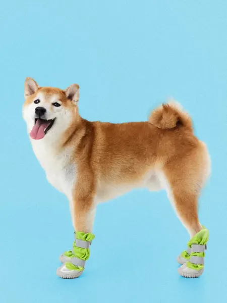 WOOF WOOF Обувь для собак