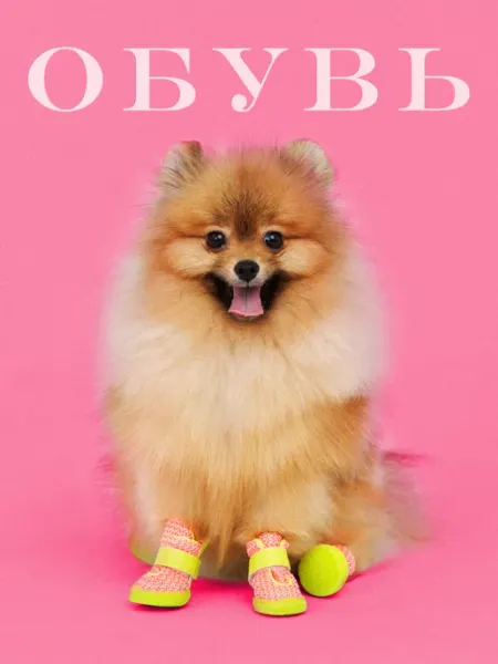 WOOF WOOF Обувь для собак