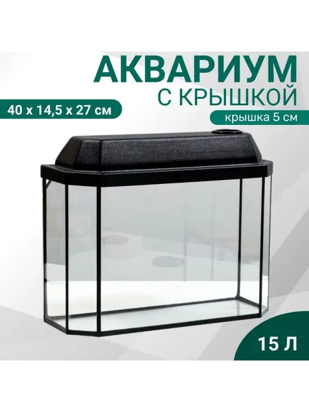 Аквариум