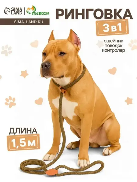 Стильный бежевый поводок для собак